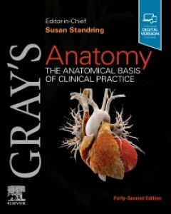 Download Gray S Anatomy 9780702077050 Elsevier Health