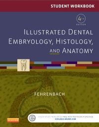 Student Workbook for Illustrated Dental Embryology, Histology and Anatomy - E-Book