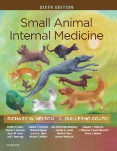 Small Animal Internal Medicine - E-Book