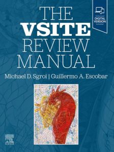 The VSITE Review Manual