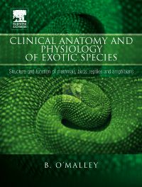 Clinical Anatomy and Physiology of Exotic Species E-Book