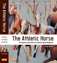 The Athletic Horse