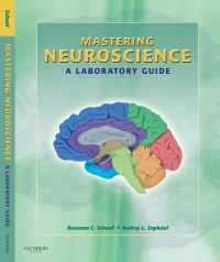 Mastering Neuroscience