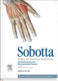 Sobotta Atlas of Human Anatomy, Vol. 3, 15th ed., English