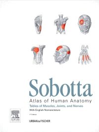 Sobotta Tables of Muscles, Joints and Nerves, English