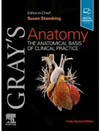 Gray's Anatomy